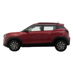 Pegasus Paint Protection Film