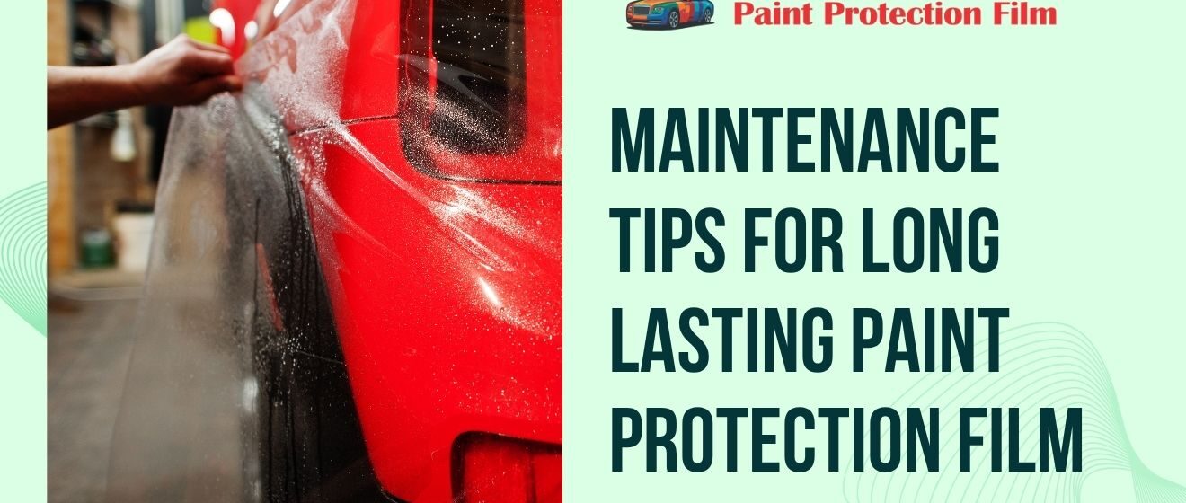 Pegasus Paint Protection Film