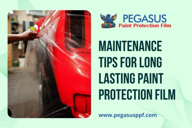 Pegasus Paint Protection Film