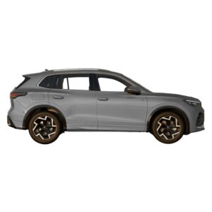 Pegasus Paint Protection Film