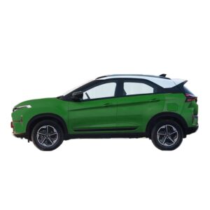 Pegasus Paint Protection Film